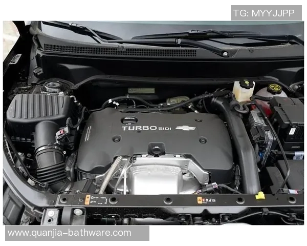 沙维什与葡国民激战正酣谁能在这场对决中笑到最后