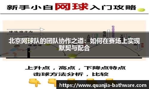 北京网球队的团队协作之道：如何在赛场上实现默契与配合