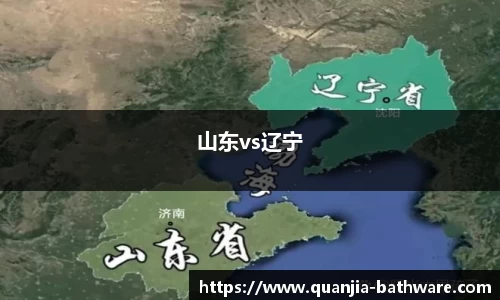 山东vs辽宁