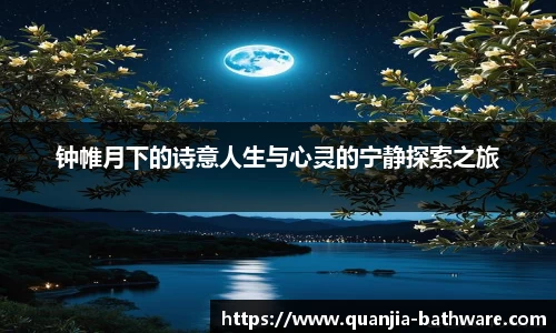 钟帷月下的诗意人生与心灵的宁静探索之旅